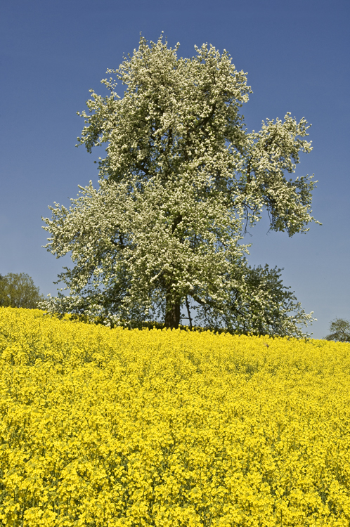 Landschaften_thumbs_hoch_4_1