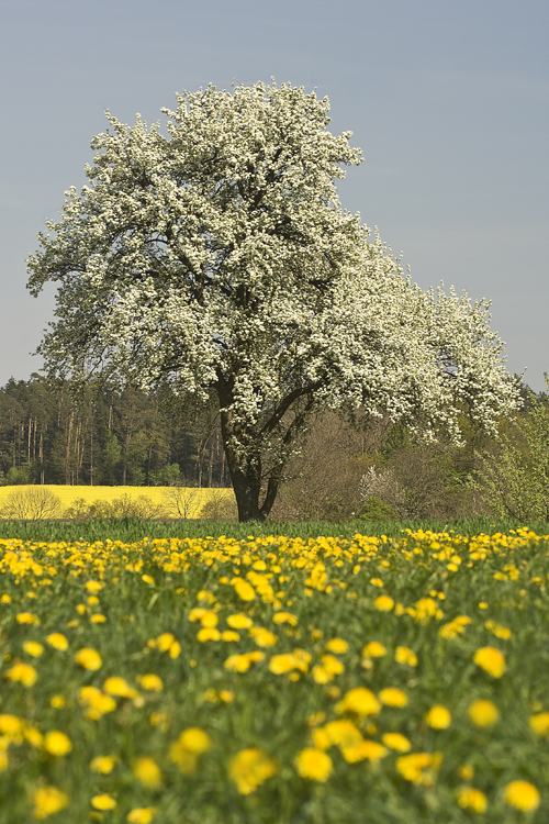 Landschaften_thumbs_hoch_4_2