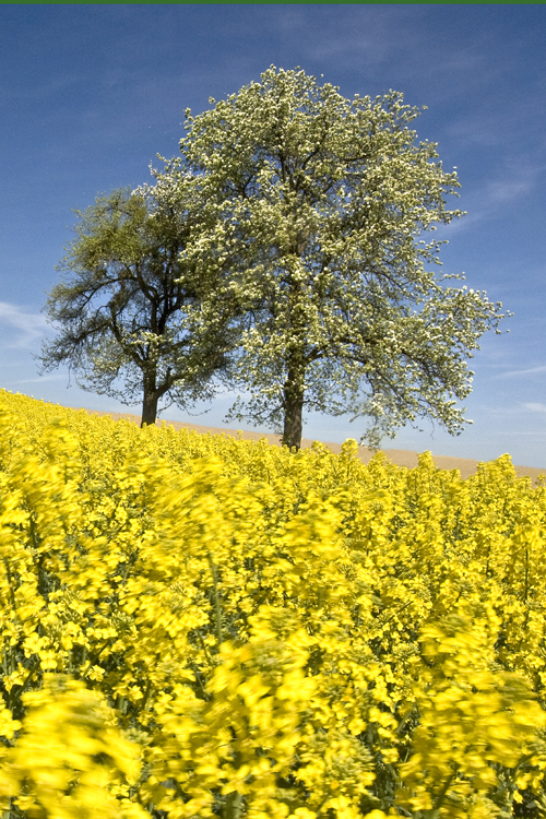 Landschaften_thumbs_hoch_4_3