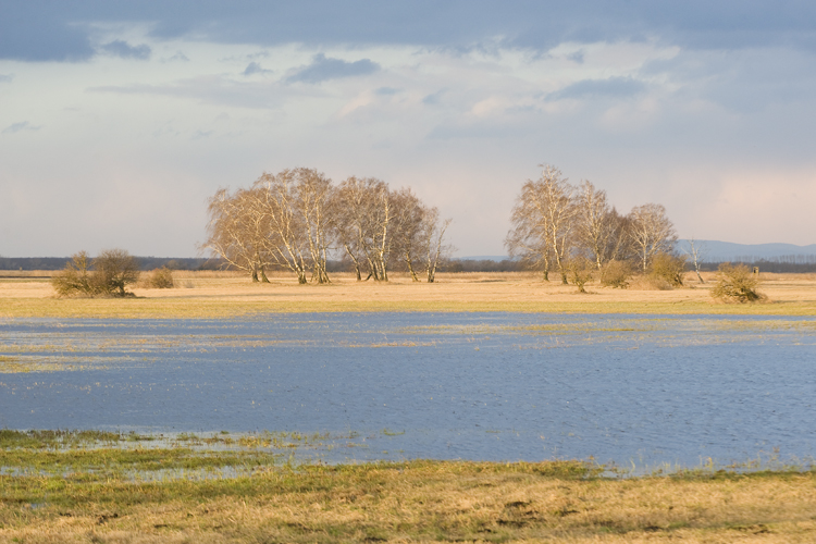 Landschaften_tumbs_quer_4_4