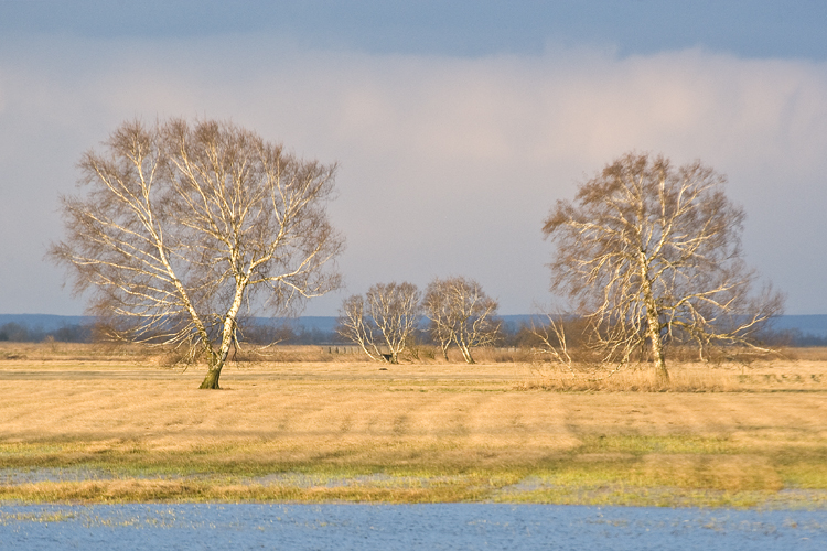 Landschaften_tumbs_quer_4_5