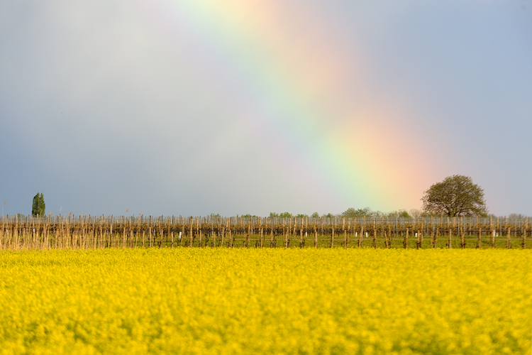 Landschaften_tumbs_quer_4_7