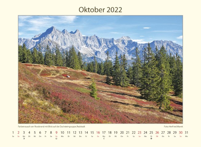 kalender_tumbs_hoch_2