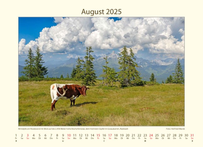 kalender_tumbs_quer_9