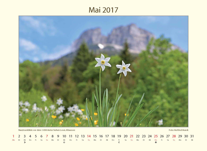 kalender_tumbs_quer_6
