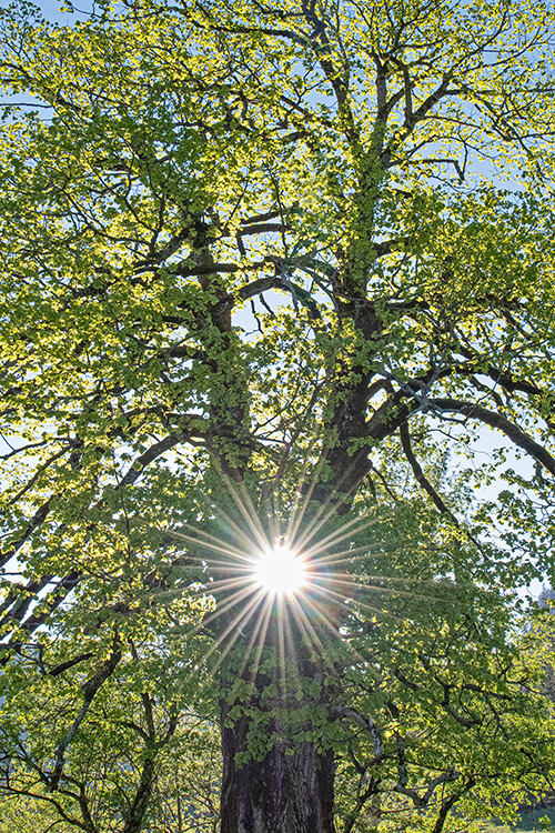 neuebilder_hoch_2