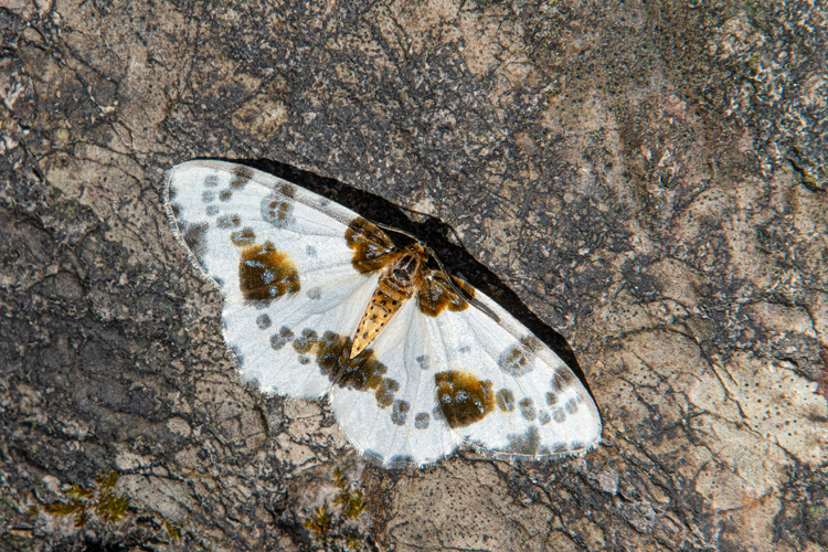 neuebilder_quer_7
