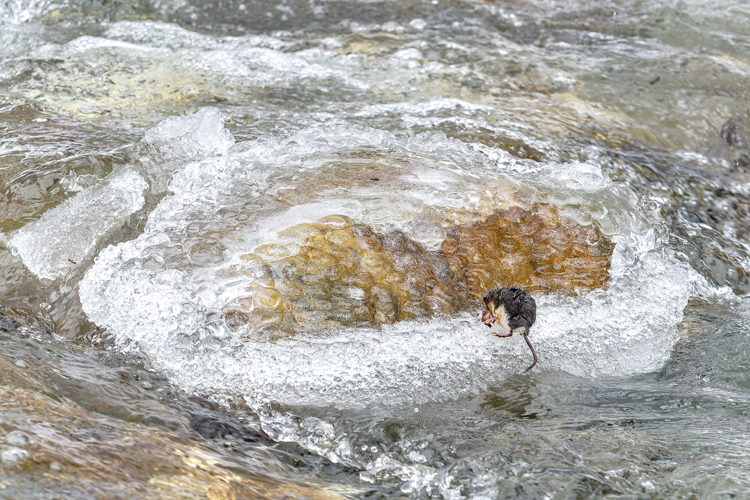 neuebilder_quer_2