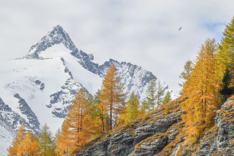 neuebilder_quer_3