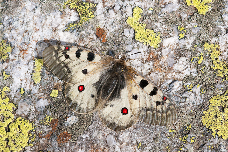 neuebilder_quer_9